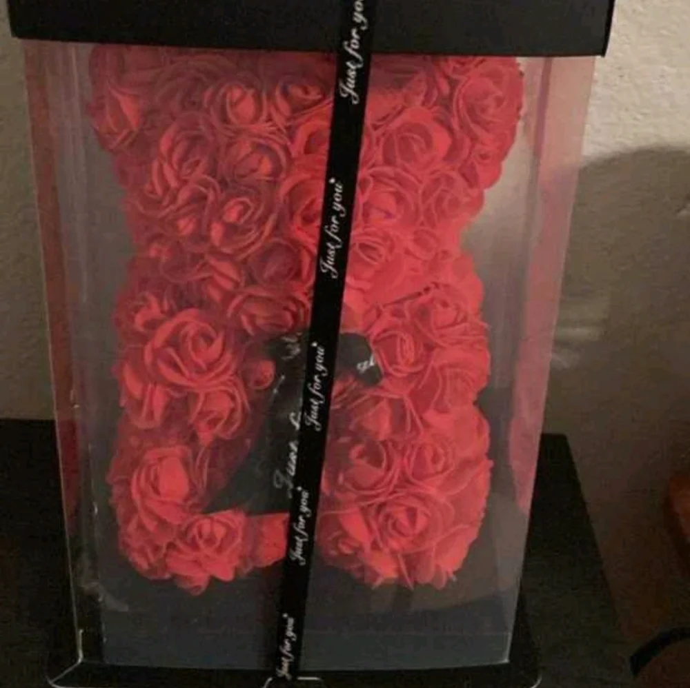 NEW Red Rose Bear Valentine's Day Gift